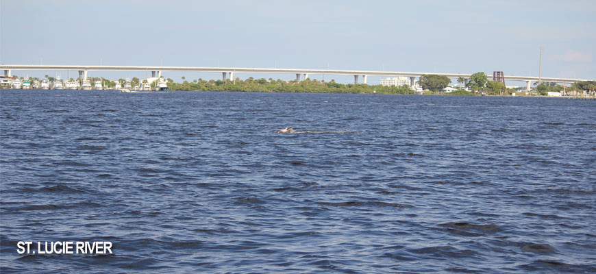 Commentary: Demand that Scott, Legislature restore Florida’s rivers