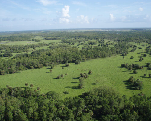 Agricultural Lands, Western Martin County