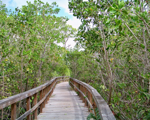 Walkway over creek in Kiplinger Nature Preserve